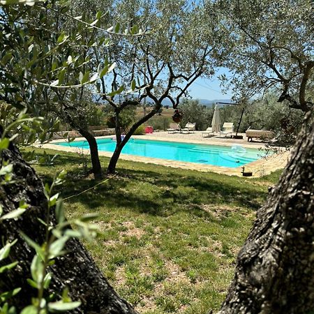Agriturismo Uliveto Benedetti Spoleto Exterior foto