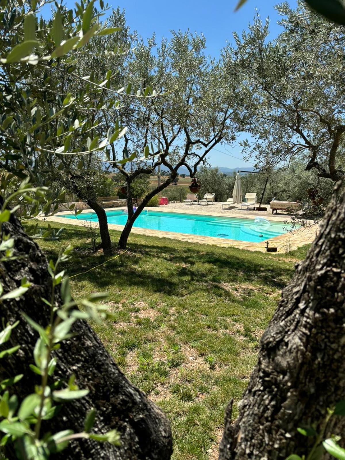 Agriturismo Uliveto Benedetti Spoleto Exterior foto